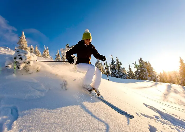 Komfort Appartement Windberger, 5M To Ski Slope, 200M To Cable Car, Schladming Dachsteincard Inklusive